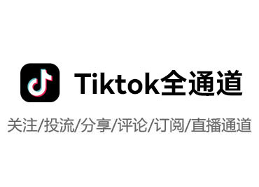 Tiktok全通道服务